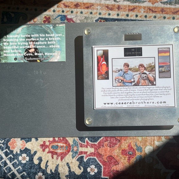 Exotic Tropical Mandarin Gobi Fish Lithography - Picture 5 of 9